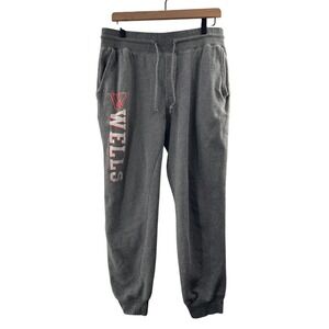Gray Camp David Collegiate Sweatpants Soft Fleece Athletic Lounge Pants Wells